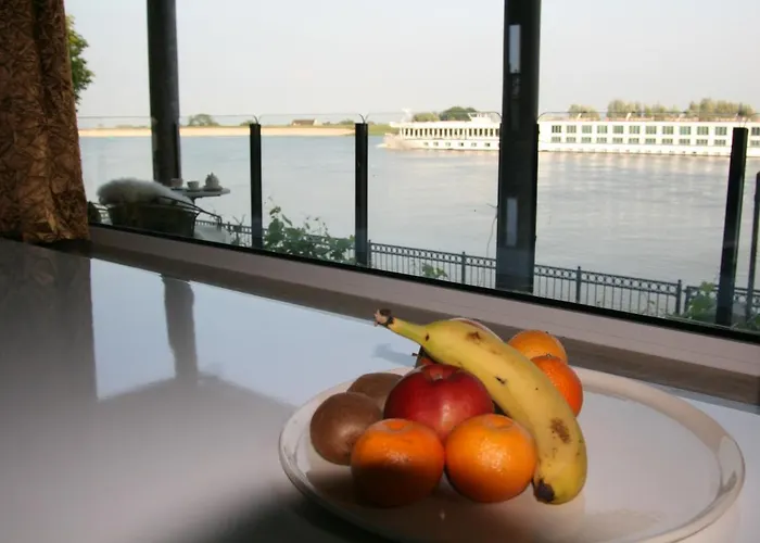 Go With The Flow Lekkerkerk